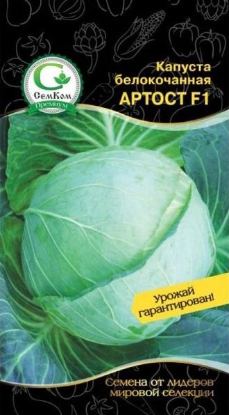 Капуста белокочанная Артост F1 (Bejo Zaden) 20шт, цв.п.